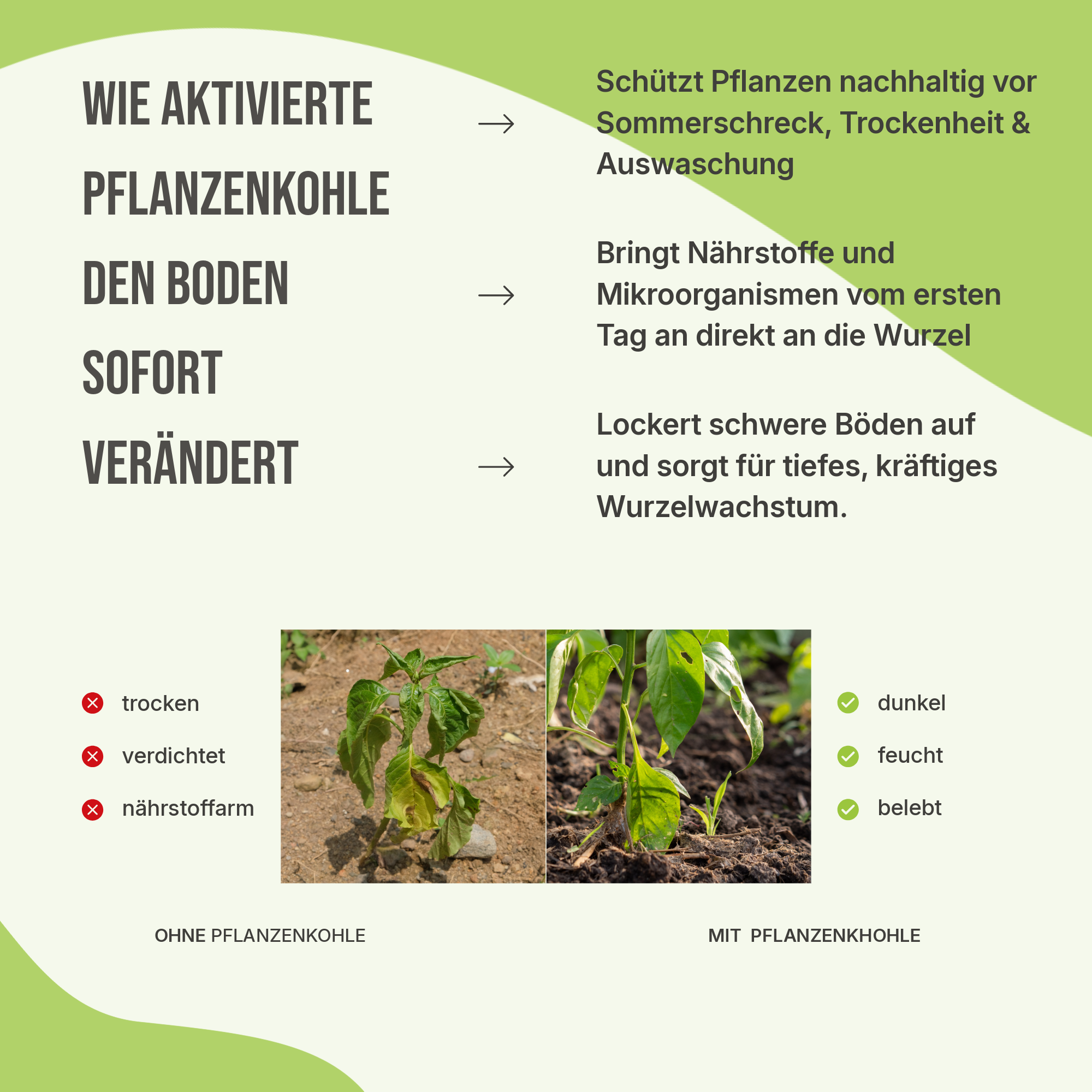 C44 Aktivierte Pflanzenkohle 5L | Bio-Bodenhilfsstoff | Sofort einsatzbereit