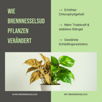 C44 Brennnesselsud Urticol | Natürlicher Bio-Dünger & Pflanzenstärkung