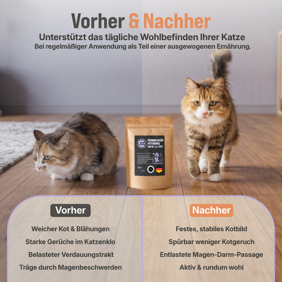 C44 Premium Futterkohle für Katzen | Darm-Balance & Entgiftung