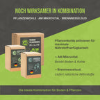 Produkte, die gut mit Pflanzenkohle - Brennnesselsud und aktiven Mikroorganismen - harmonieren
