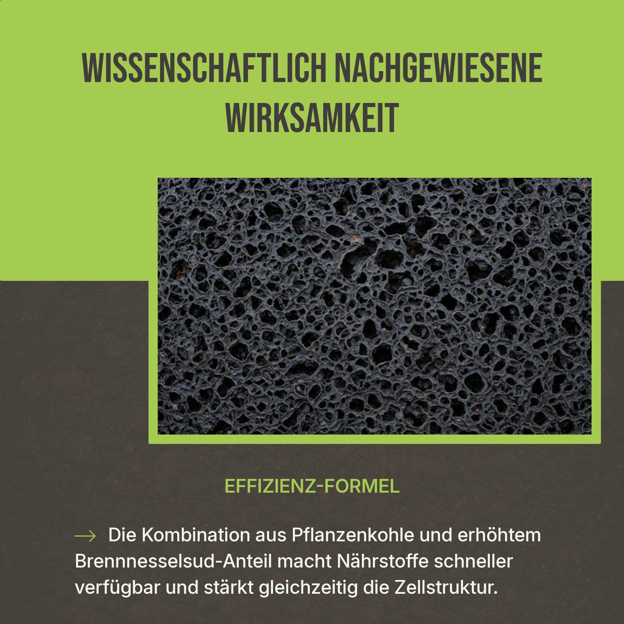 C44 Terra Aktiv Nº2 | Fokus Wachstums-Kraft & Resilienz-Boost – 20L