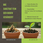 Vorher-Nachher Vergleich: Schnelleres Anwachsen und kräftiges Wurzelwerk durch die feine Bodenstruktur.