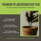 Was ist das feine Substrat: Ein humusreiches Bodenfundament für optimales Einwurzeln von Setzlingen.