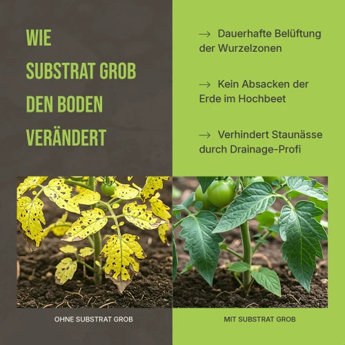 Vorher-Nachher Vergleich: Gesunde Wurzeln ohne Staunässe und kein Absacken der Erde in tiefen Gefäßen.