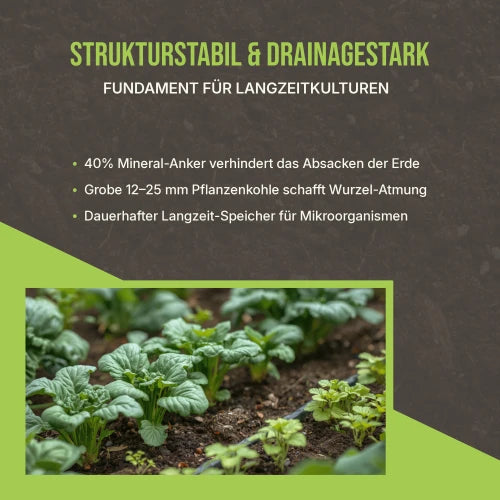Produkt-Highlights: Fokus auf langfristige Strukturstabilität und optimale Sauerstoffversorgung.
