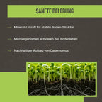 Warum es wirkt: Infografik zur Aktivierung der Bodenbiologie und Verbesserung der Bodenstruktur.