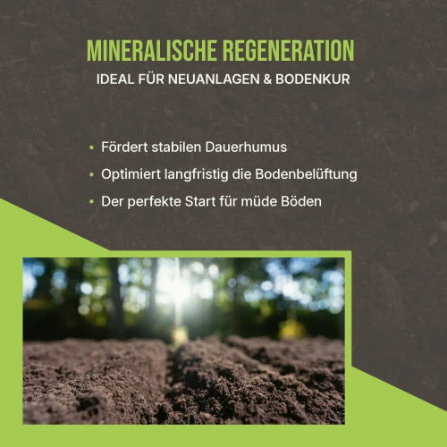 Produkt-Highlights: Fokus auf nachhaltigen Humusaufbau und regionale Qualität aus Zittau.