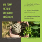Vorher-Nachher Vergleich: Sichtbar verbesserte Bodenkrümelung und gesundes Wurzelwachstum.