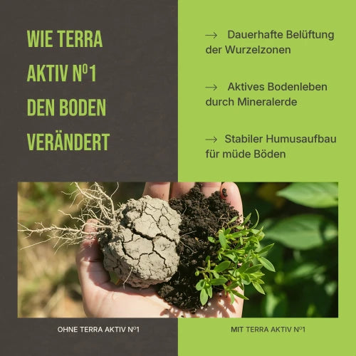 Vorher-Nachher Vergleich: Sichtbar verbesserte Bodenkrümelung und gesundes Wurzelwachstum.