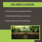Warum es wirkt: Infografik zur Steigerung der Nährstoff-Effizienz und Stärkung der Pflanzenresilienz.