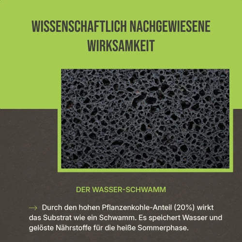 Wissenschaftlich bestätigt: Laborgeprüfte Wirksamkeit für maximale Bodenregeneration im Bio-Garten.