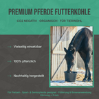 Infografik: Die Funktionsweise der C44 Futterkohle – Mikroporen zur Bindung von Toxinen und Schadstoffen.