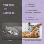 Vorher-Nachher Vergleich: Gesteigertes Wohlbefinden und bessere Verdauung durch regelmäßige Gabe von Futterkohle.