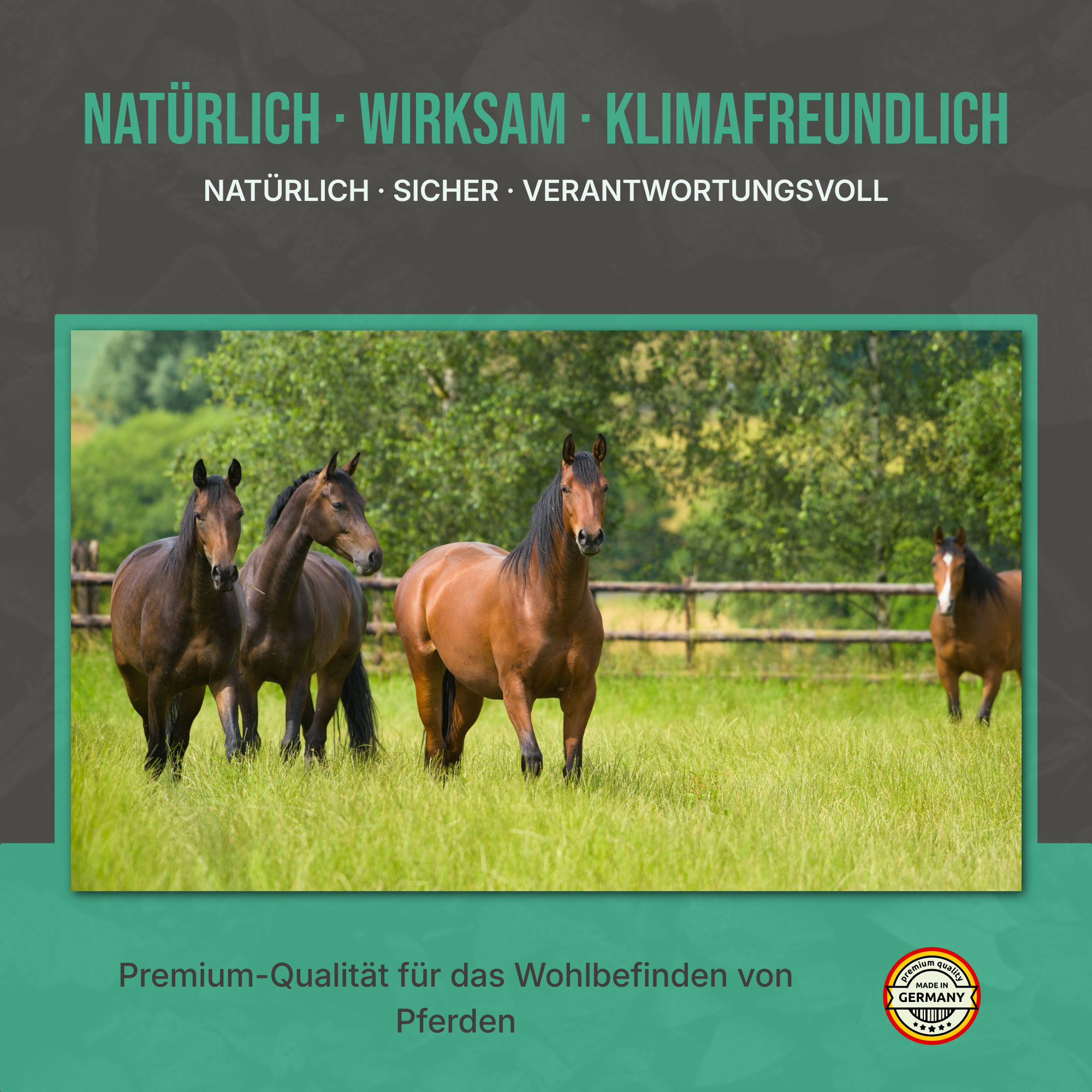 Alle Vorteile auf einen Blick: 100% natürlich, hochgradig toxinbindend und förderlich für die Stallhygiene.