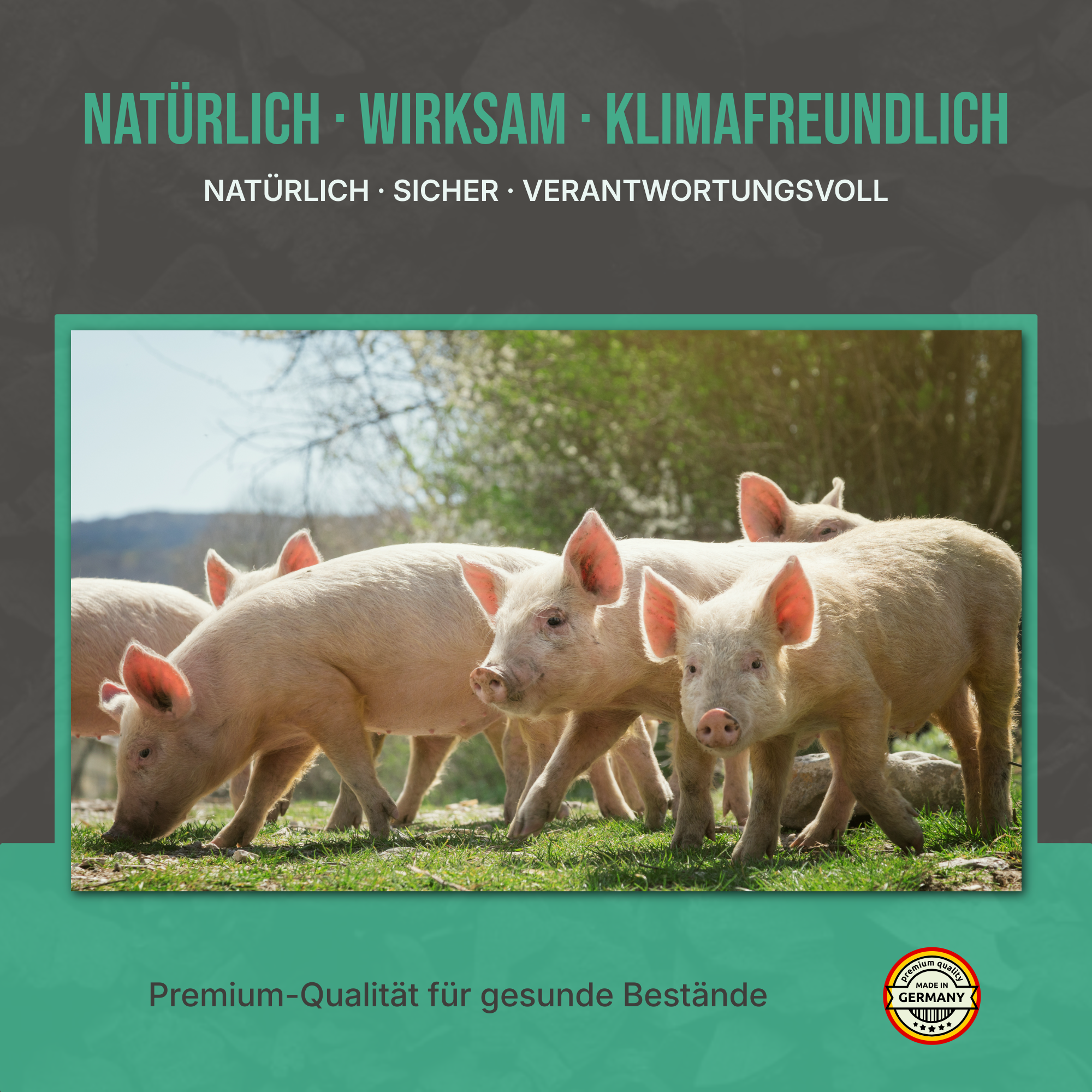 Alle Vorteile auf einen Blick: 100% natürlich, hochgradig toxinbindend und förderlich für die Stallhygiene.