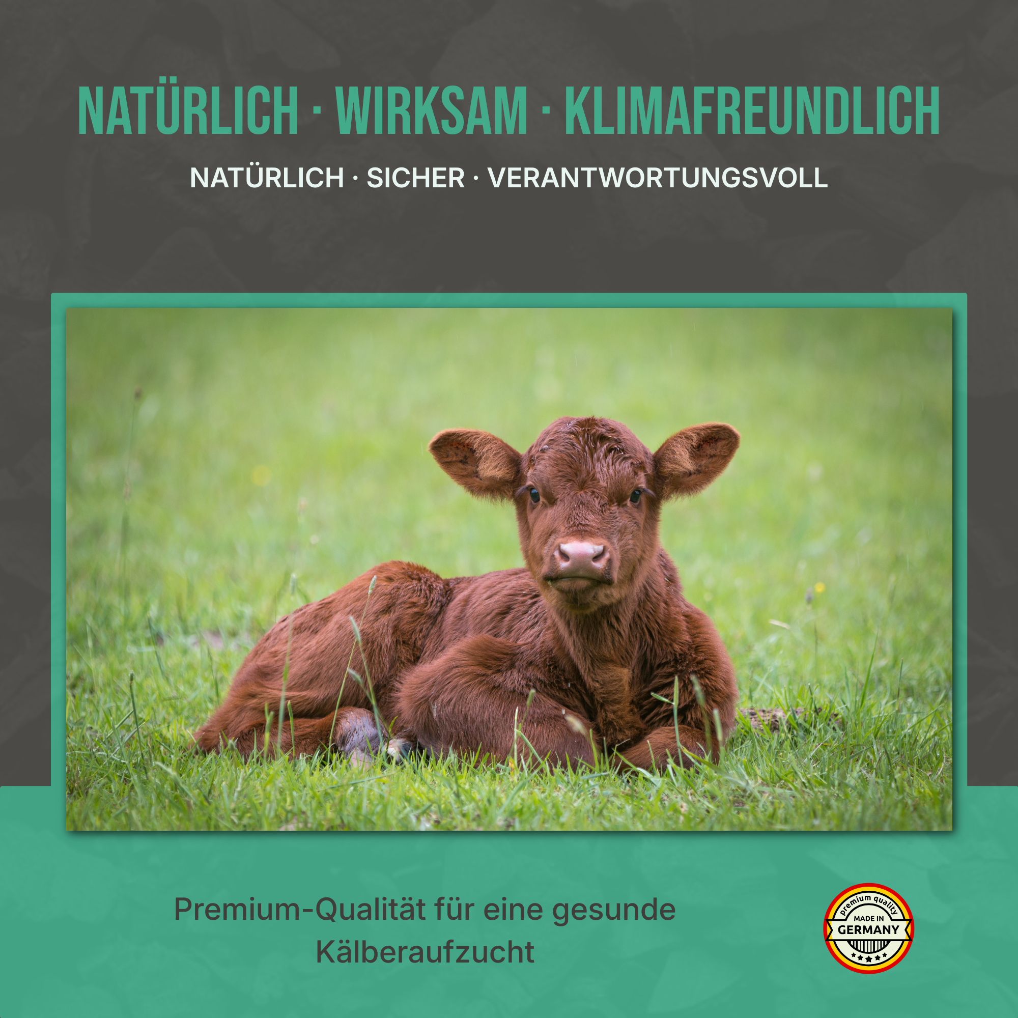 Zusammenfassung der Vorteile: Toxinbindung, Stoffwechsel-Entlastung und 100% Natur für gesunde Tiere.