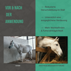 Vorher-Nachher Vergleich: Sichtbare Steigerung des Wohlbefindens und gesunde Verdauung durch Futterkohle.