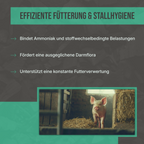 Vorteile der Pflanzenkohle: Unterstützung der Darmflora, Stärkung der Vitalität und Entlastung des Stoffwechsels.