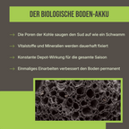 Infografik: Warum Pflanzenkohle aktiviert werden muss – Die mikroporöse Struktur als Nährstoffspeicher.