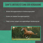 Vorteile der Futterkohle: Unterstützung der Darmflora, Stärkung der Vitalität und Entlastung des Stoffwechsels.