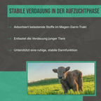 Wirkungsweise: Wie C44 Futterkohle die Darmgesundheit stabilisiert und das Immunsystem von Tieren stärkt.