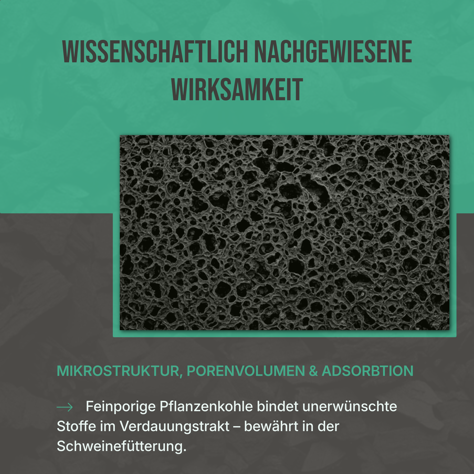 futterkohle-reinheit.jpg	Wissenschaftlich belegt: Schadstoffgeprüfte und zertifizierte Pflanzenkohle für höchste Sicherheit in der Fütterung.
