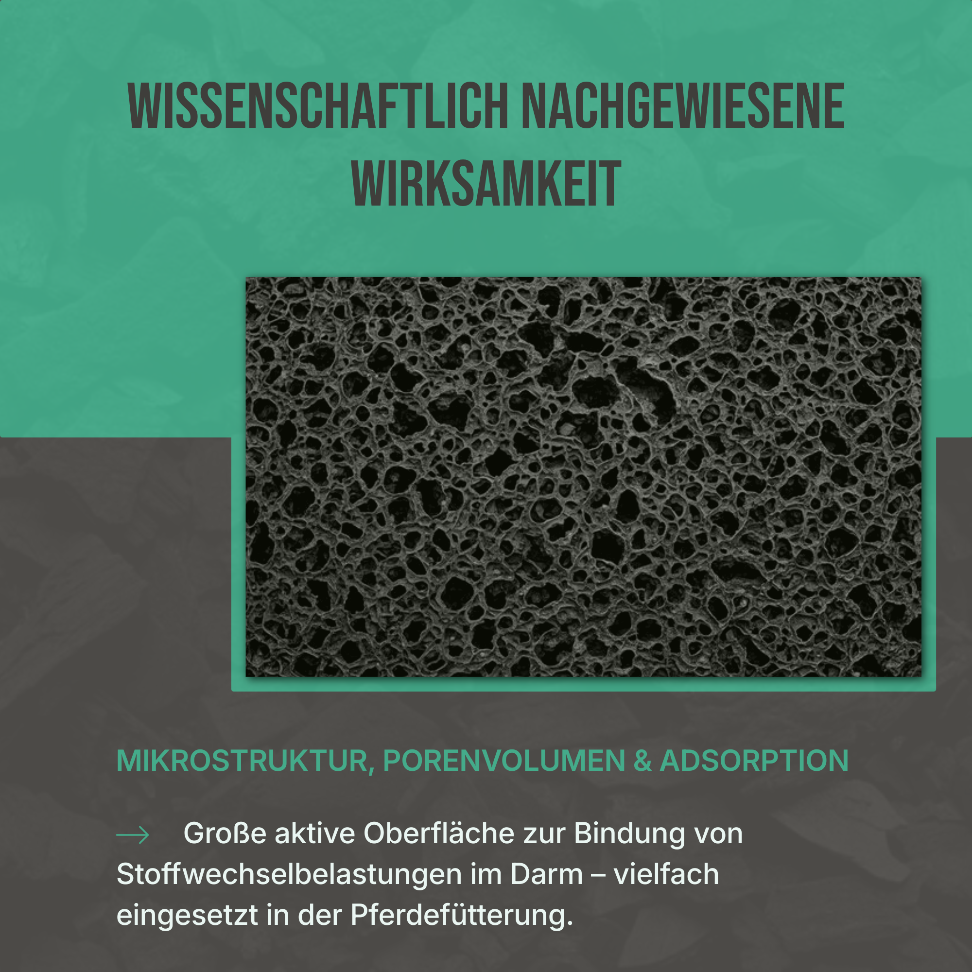 Wissenschaftlich belegt: Schadstoffgeprüfte und zertifizierte Pflanzenkohle für höchste Sicherheit in der Fütterung.