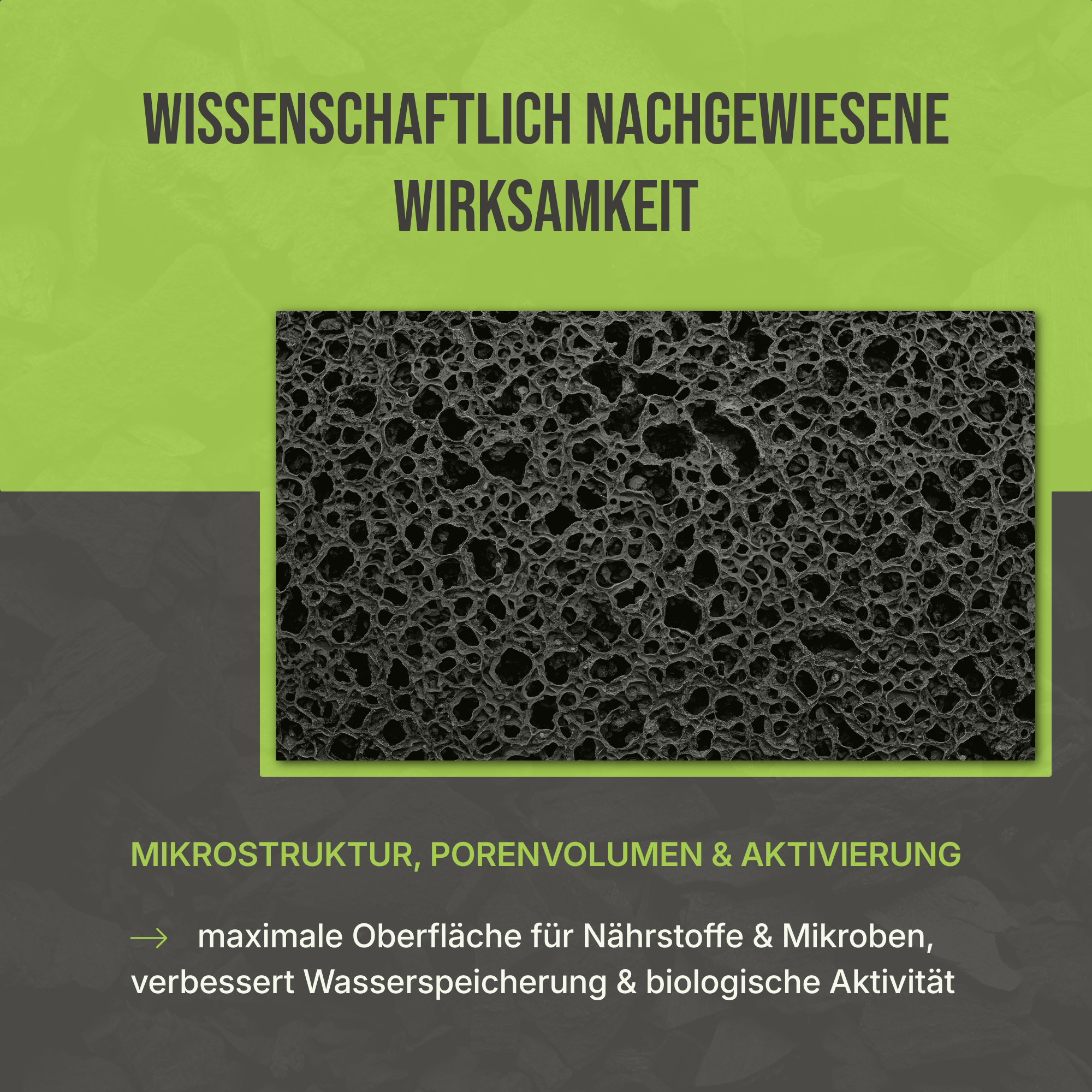 Zertifizierte Qualität: Wissenschaftlich geprüfte Pflanzenkohle für nachhaltigen Klimaschutz und CO2-Speicherung