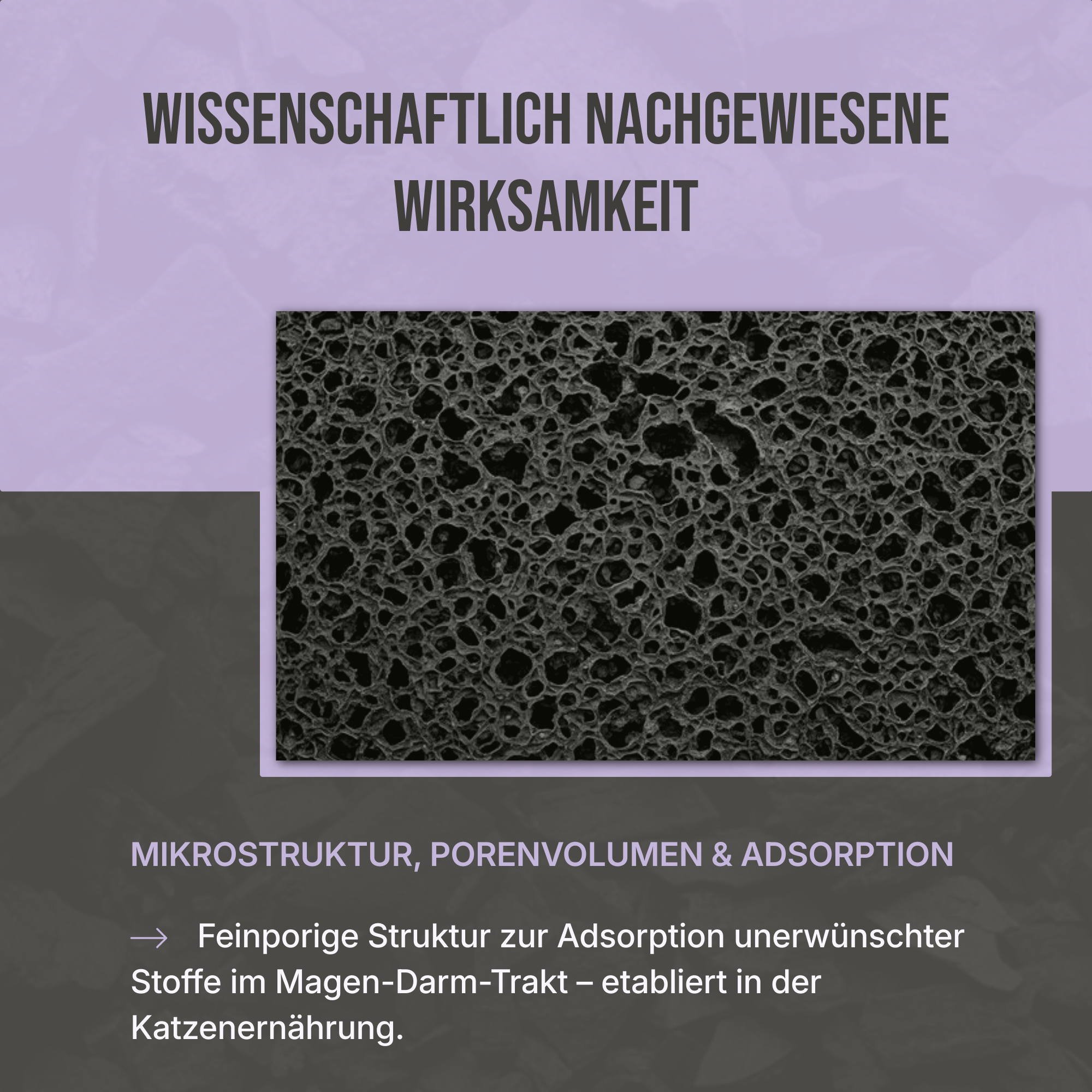 Wissenschaftlich geprüft: Zertifizierte Reinheit und Qualität der C44 Pflanzenkohle für maximale Sicherheit.